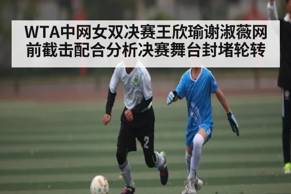 WTA中网女双决赛王欣瑜谢淑薇网前截击配合分析决赛舞台封堵轮转